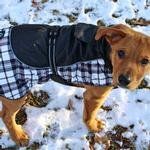 Alpine All Weather Dog Coat (Color: Black and White Plaid, size: medium)