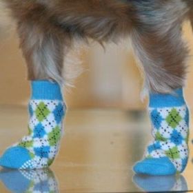 Non Skid Dog Socks (Color: Blue and Green Argyle, size: X-Large)