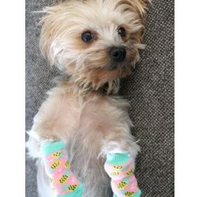 Non Skid Dog Socks (Color: Pineapple, size: X-Large)