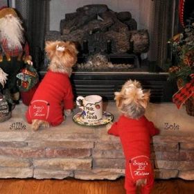 Christmas Dog Pajama (Color: Santa's Lil' Helper, size: X-Small)