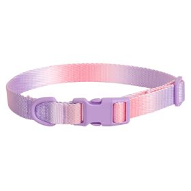Large Anti-rust Gradient In Dog Collar (Option: Purple Pink-S)