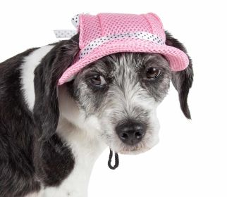 Pet Life 'Sea Spot Sun' Uv Protectant Adjustable Fashion Mesh Brimmed Dog Hat Cap (Color: Pink, size: large)