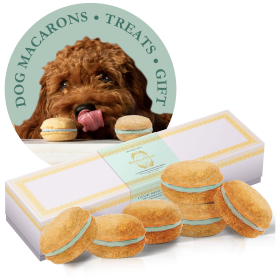 Dog Macarons - Count of 6 (Dog Treats | Dog Gifts) (Flavor: Mint)